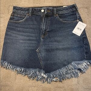 Free People Mountain Blue Denim Skirt size 29